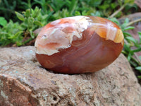 Polished Flower Agate Palm Stones x 12 From Madagascar - Toprock Gemstones and Minerals 