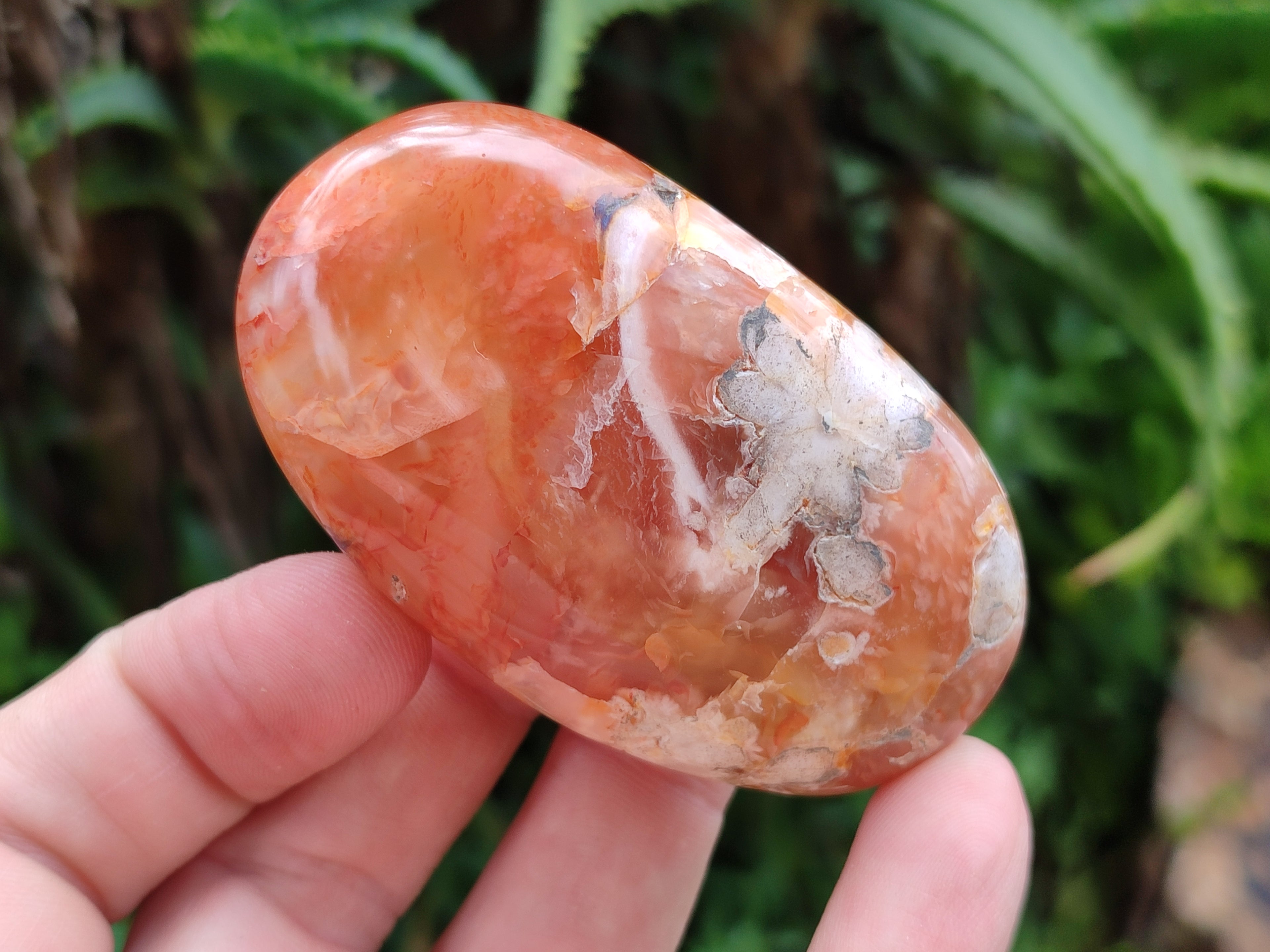 Polished Flower Agate Palm Stones x 12 From Madagascar - Toprock Gemstones and Minerals 