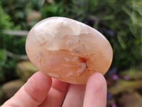 Polished Flower Agate Palm Stones x 12 From Madagascar - Toprock Gemstones and Minerals 