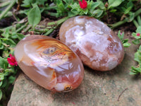 Polished Flower Agate Palm Stones x 12 From Madagascar - Toprock Gemstones and Minerals 
