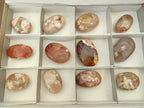 Polished Flower Agate Palm Stones x 12 From Madagascar - Toprock Gemstones and Minerals 