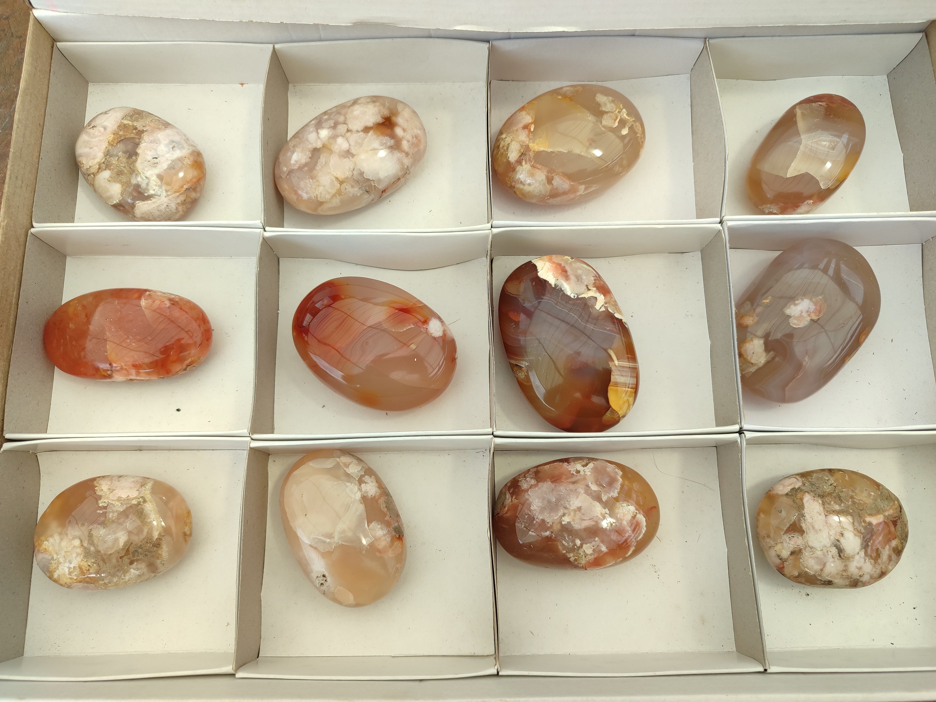 Polished Flower Agate Palm Stones x 12 From Madagascar - Toprock Gemstones and Minerals 