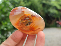 Polished Flower Agate Palm Stones x 12 From Madagascar - Toprock Gemstones and Minerals 