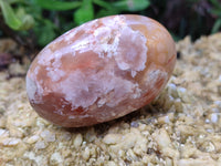 Polished Flower Agate Palm Stones x 12 From Madagascar - Toprock Gemstones and Minerals 