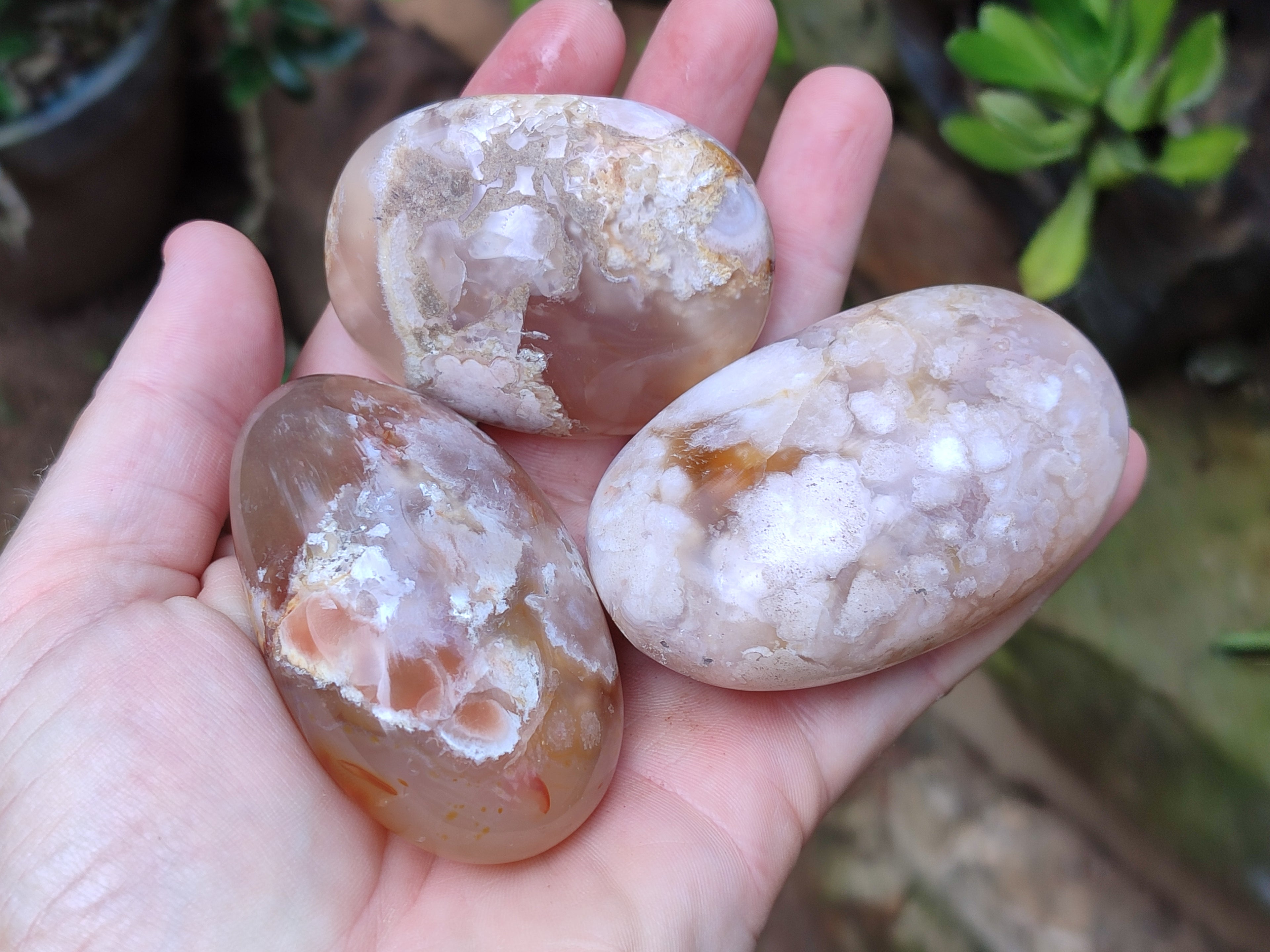 Polished Flower Agate Palm Stones x 12 From Madagascar - Toprock Gemstones and Minerals 