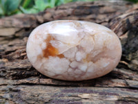 Polished Flower Agate Palm Stones x 12 From Madagascar - Toprock Gemstones and Minerals 
