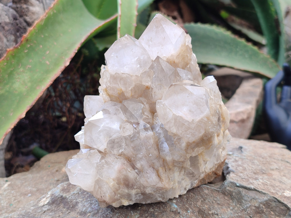 Natural Smokey Phantom Quartz Cluster x 1 From Luena, Congo - Toprock Gemstones and Minerals 