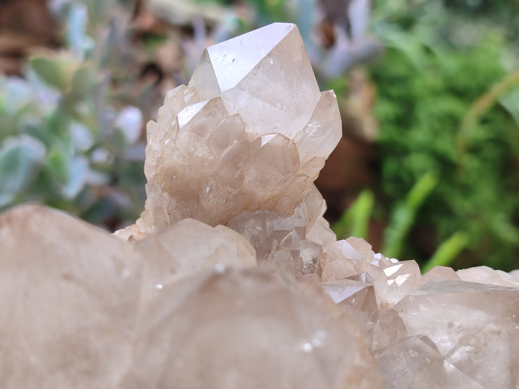 Natural Smokey Phantom Quartz Cluster x 1 From Luena, Congo - Toprock Gemstones and Minerals 