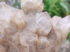 Natural Smokey Phantom Quartz Cluster x 1 From Luena, Congo - Toprock Gemstones and Minerals 