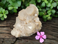 Natural Smokey Phantom Quartz Cluster x 1 From Luena, Congo - Toprock Gemstones and Minerals 