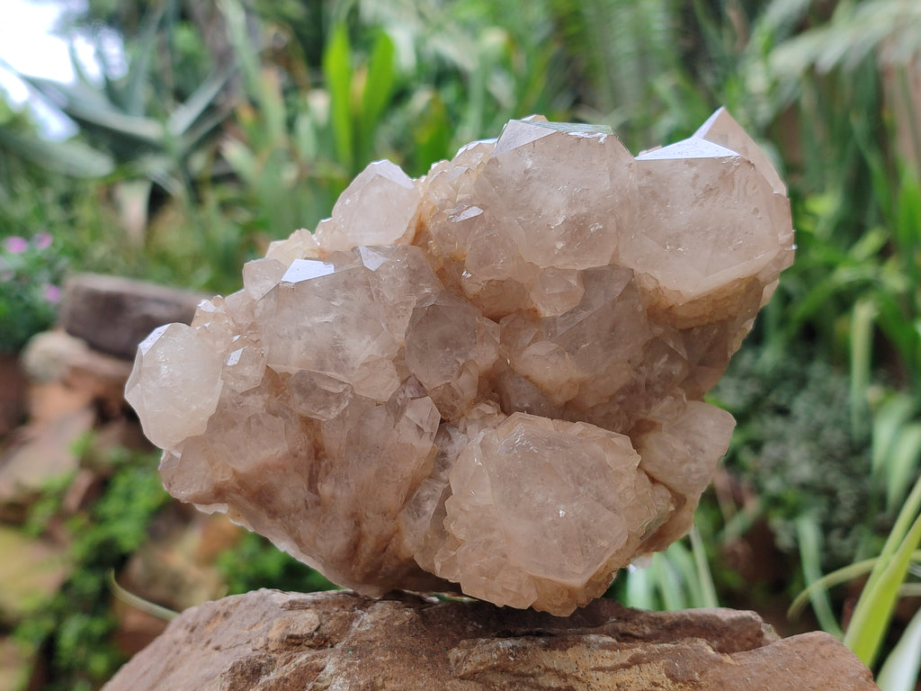 Natural Smokey Phantom Quartz Cluster x 1 From Luena, Congo - Toprock Gemstones and Minerals 