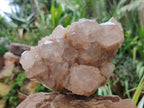 Natural Smokey Phantom Quartz Cluster x 1 From Luena, Congo - Toprock Gemstones and Minerals 