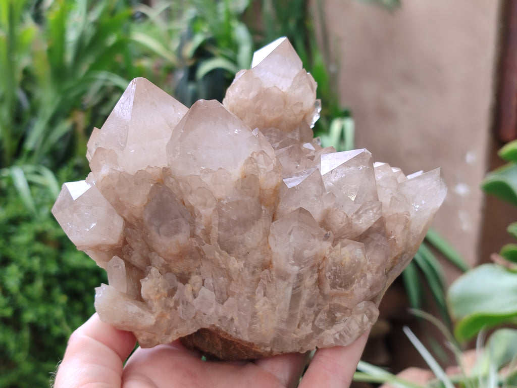 Natural Smokey Phantom Quartz Cluster x 1 From Luena, Congo - Toprock Gemstones and Minerals 