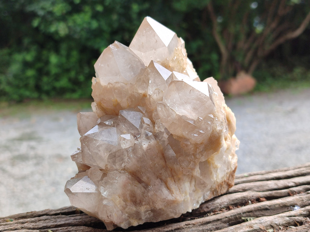 Natural Smokey Phantom Quartz Cluster x 1 From Luena, Congo - Toprock Gemstones and Minerals 