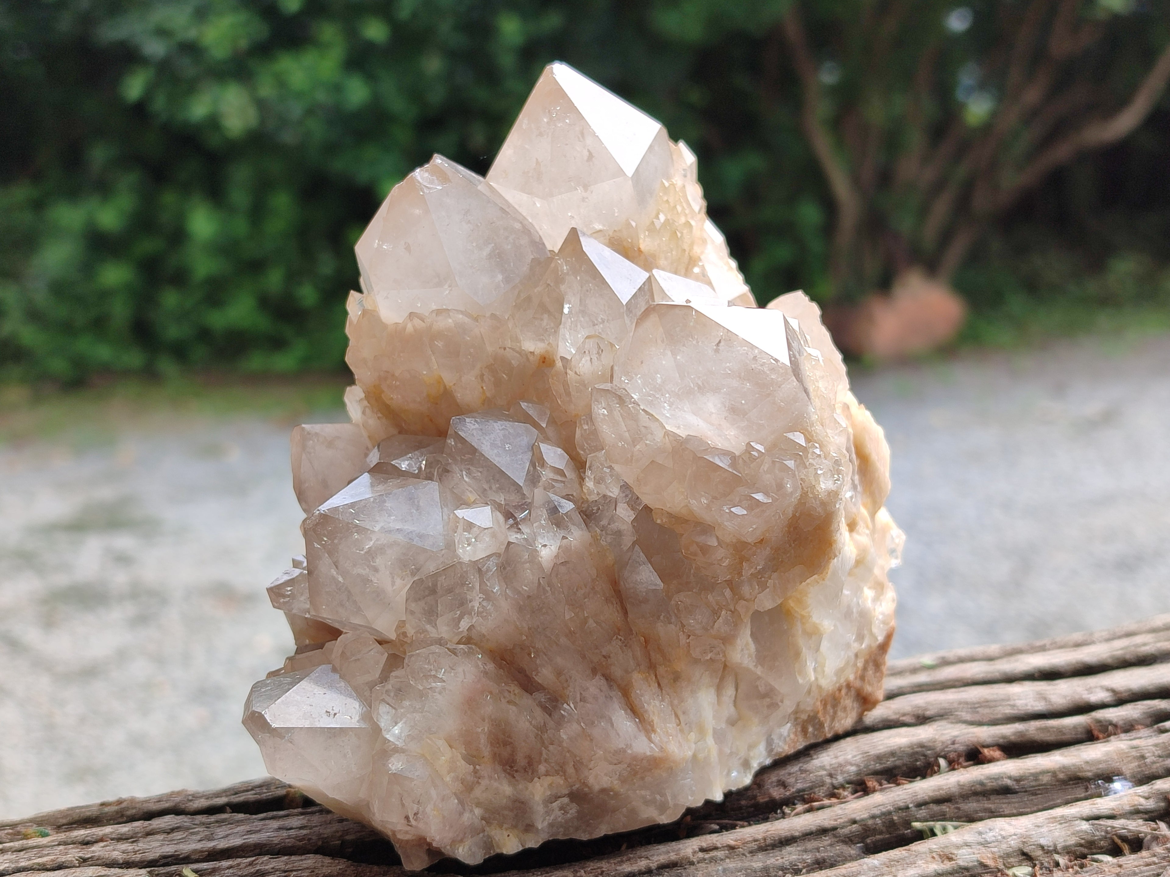 Natural Smokey Phantom Quartz Cluster x 1 From Luena, Congo - Toprock Gemstones and Minerals 