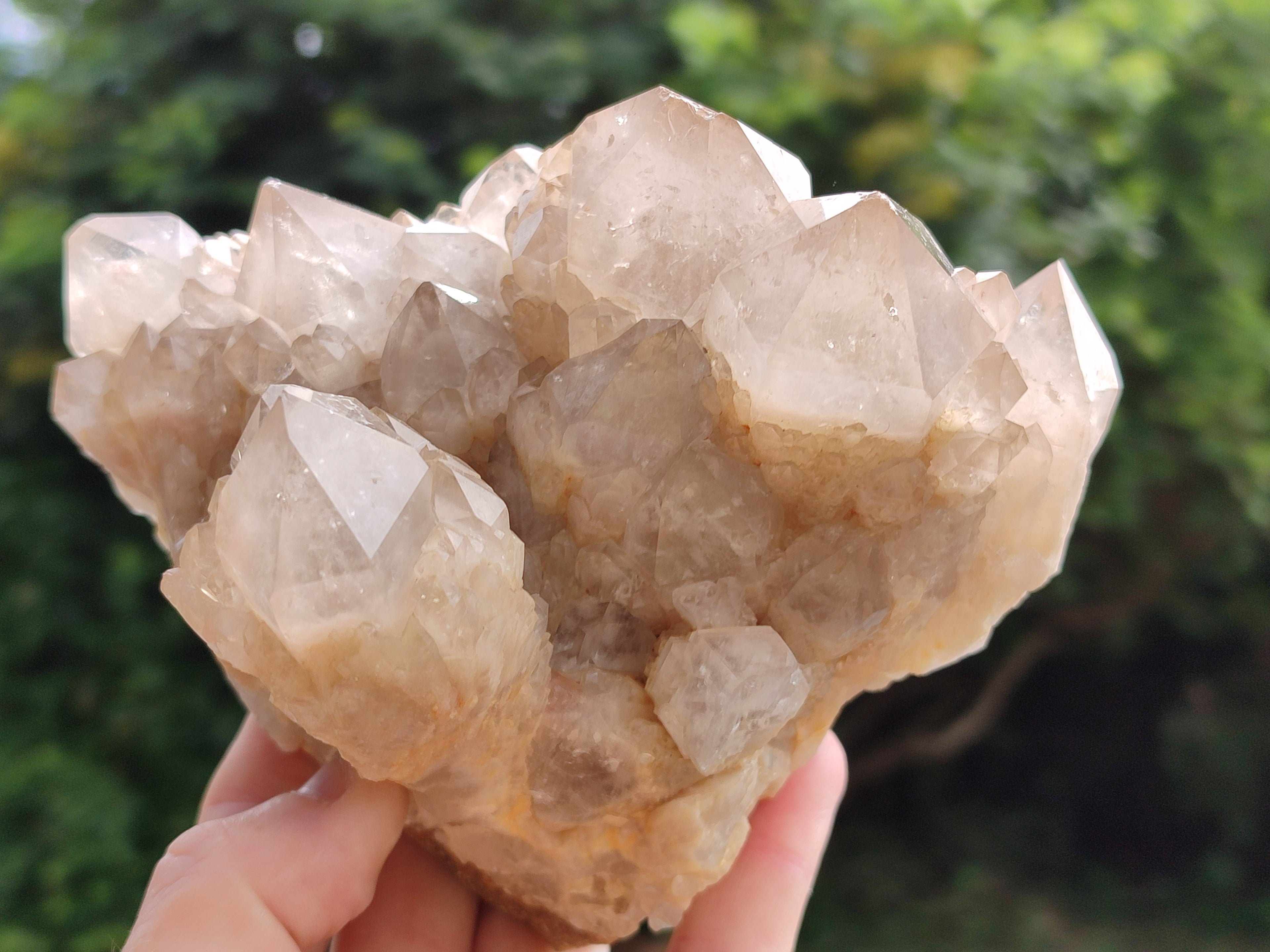 Natural Smokey Phantom Quartz Cluster x 1 From Luena, Congo - Toprock Gemstones and Minerals 