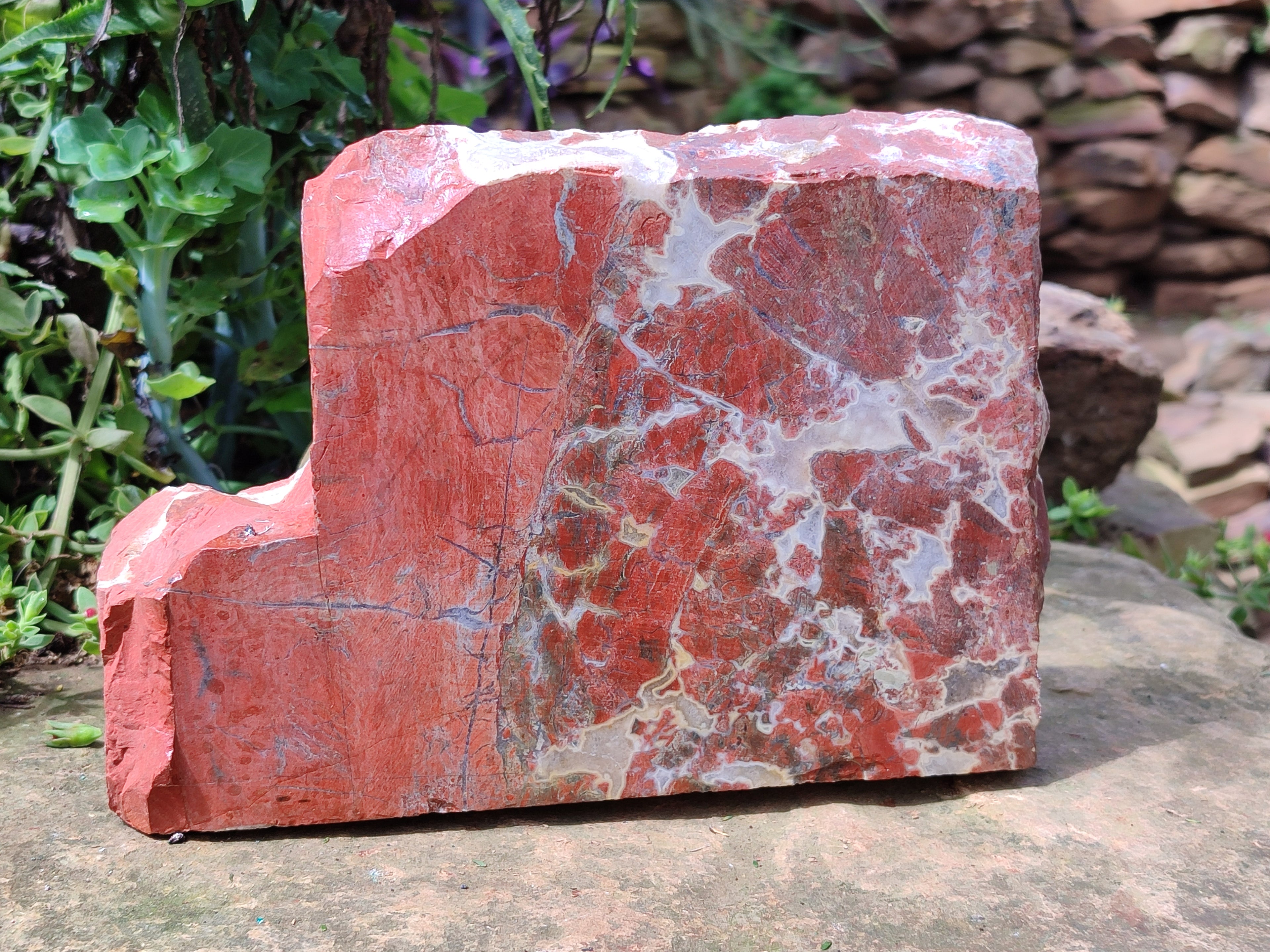 Natural Red Jasper Specimens x 2 From Northern Cape, South Africa - Toprock Gemstones and Minerals 