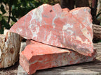 Natural Red Jasper Specimens x 2 From Northern Cape, South Africa - Toprock Gemstones and Minerals 