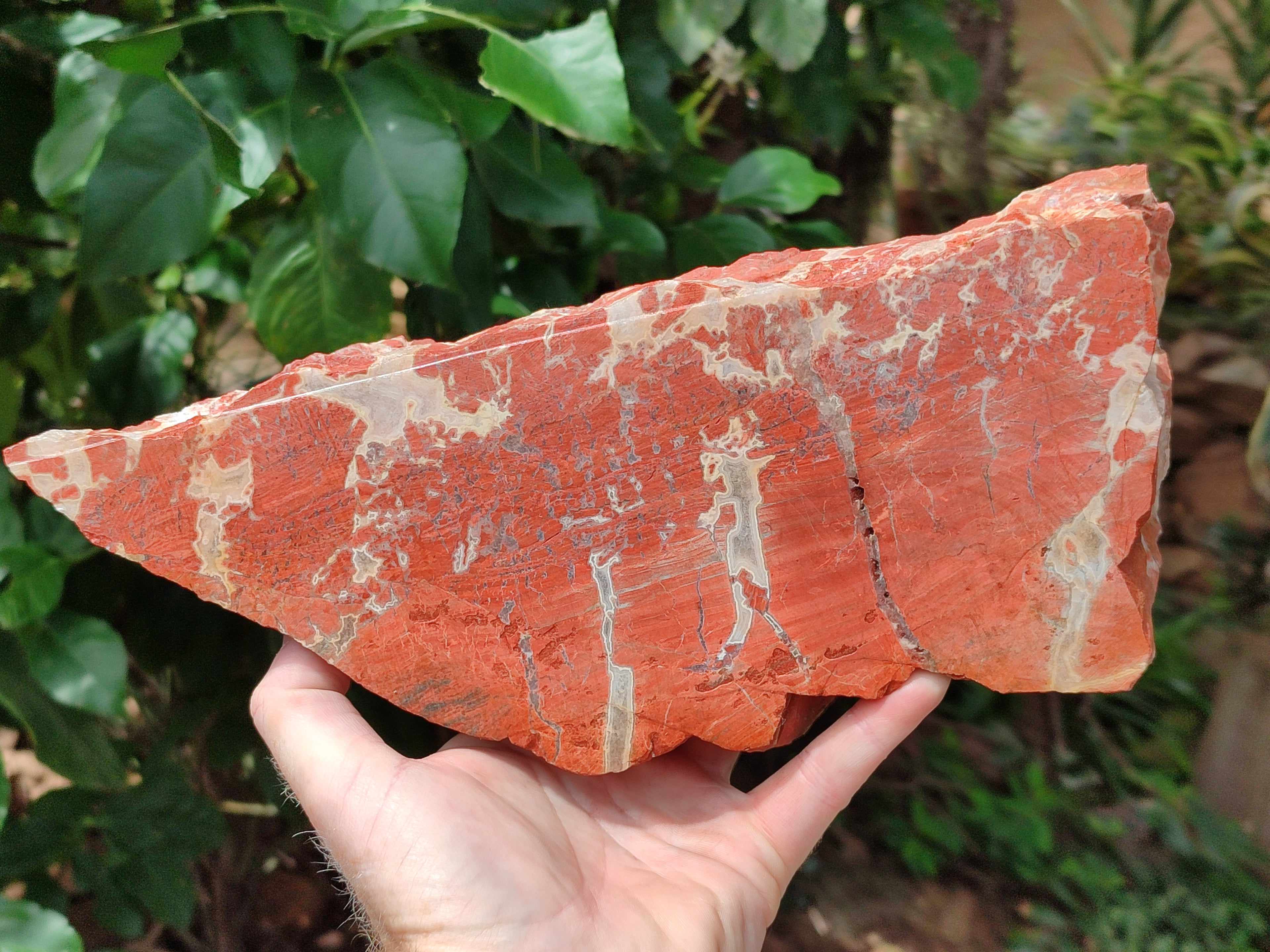 Natural Red Jasper Specimens x 2 From Northern Cape, South Africa - Toprock Gemstones and Minerals 