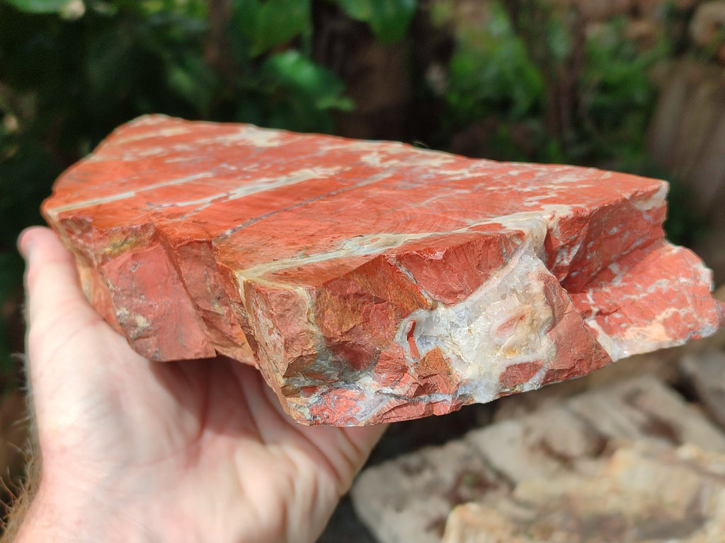 Natural Red Jasper Specimens x 2 From Northern Cape, South Africa - Toprock Gemstones and Minerals 