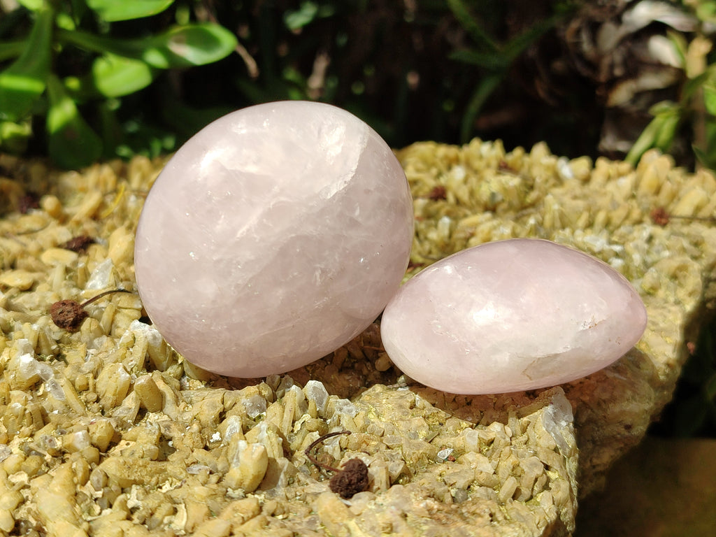 Polished Rose Quartz Palm Stones x 12 From Madagascar - Toprock Gemstones and Minerals 