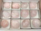 Polished Rose Quartz Palm Stones x 12 From Madagascar - Toprock Gemstones and Minerals 
