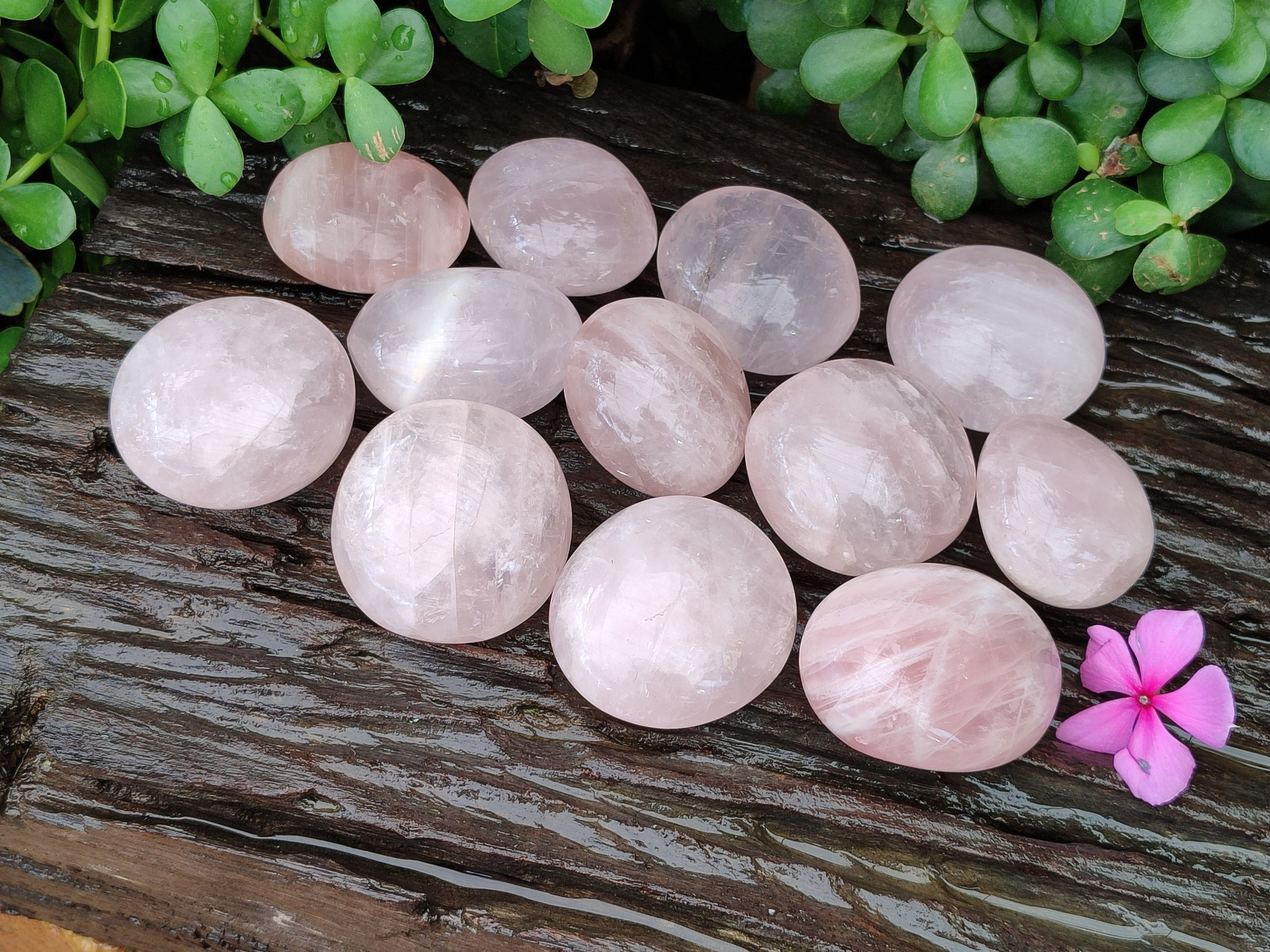 Polished Rose Quartz Palm Stones x 12 From Madagascar - Toprock Gemstones and Minerals 