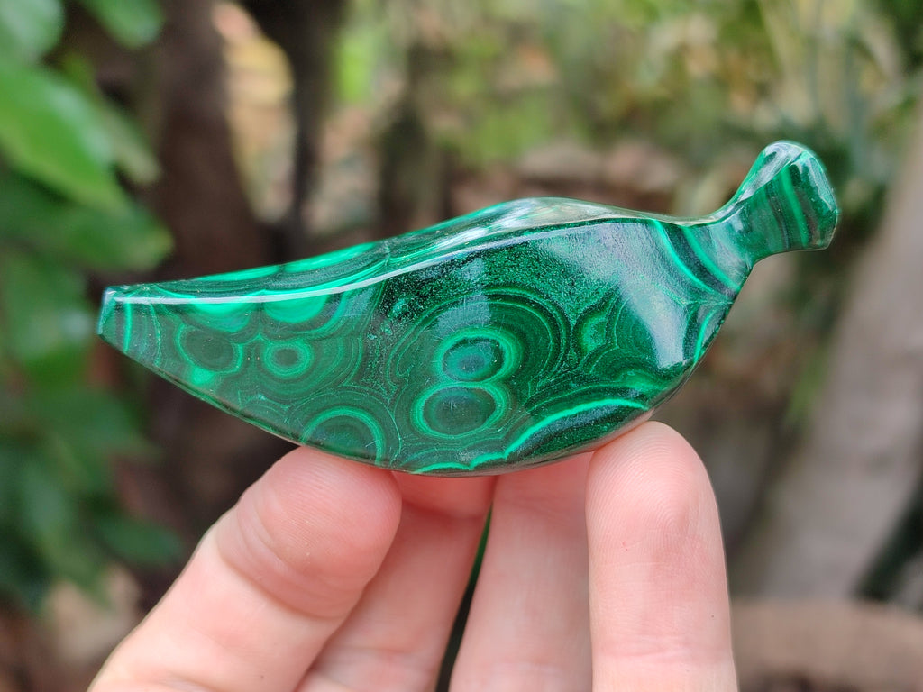 Polished Assorted Malachite Fruit Carvings x 12 From Congo - Toprock Gemstones and Minerals 