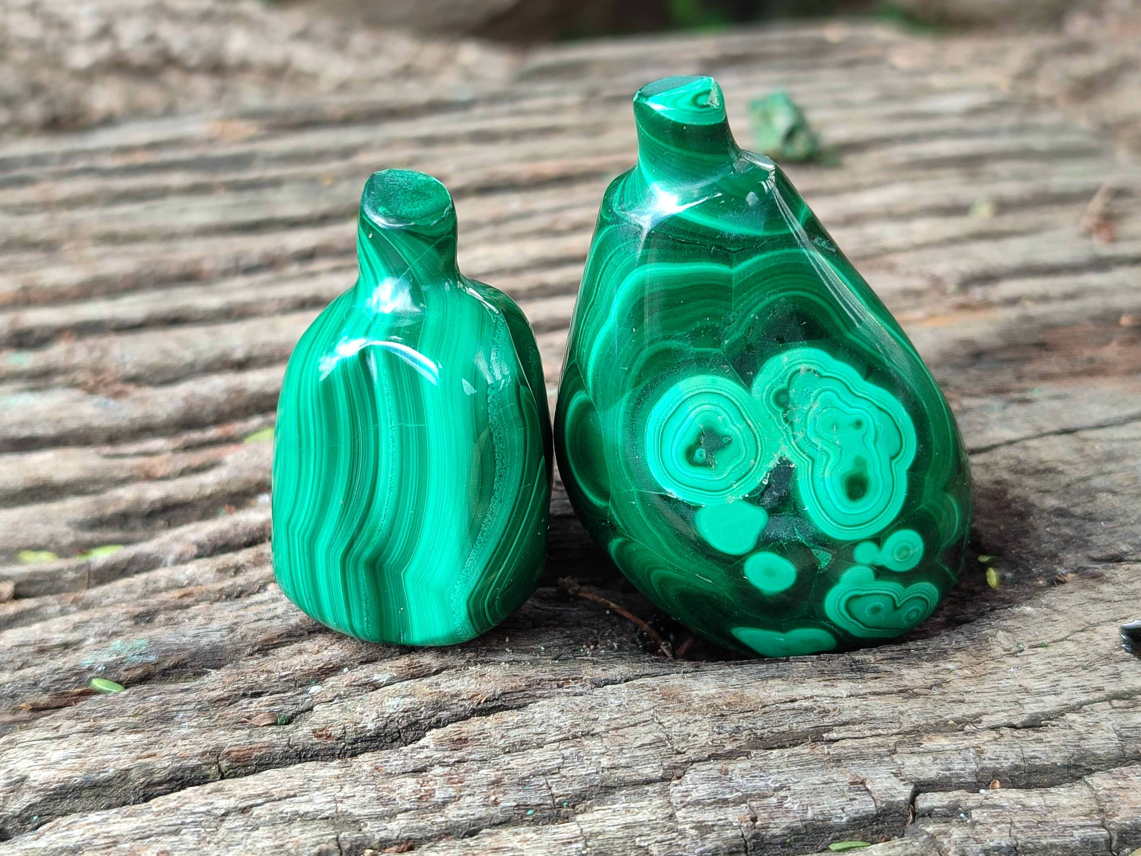 Polished Assorted Malachite Fruit Carvings x 12 From Congo - Toprock Gemstones and Minerals 