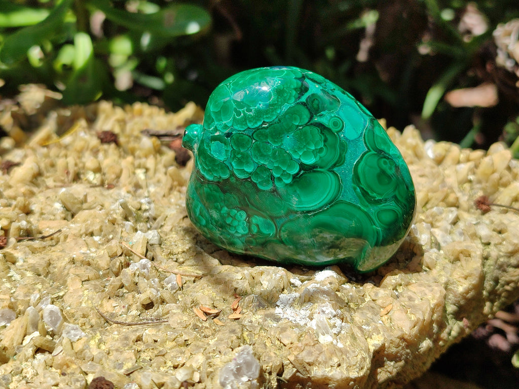 Polished Assorted Malachite Fruit Carvings x 12 From Congo - Toprock Gemstones and Minerals 