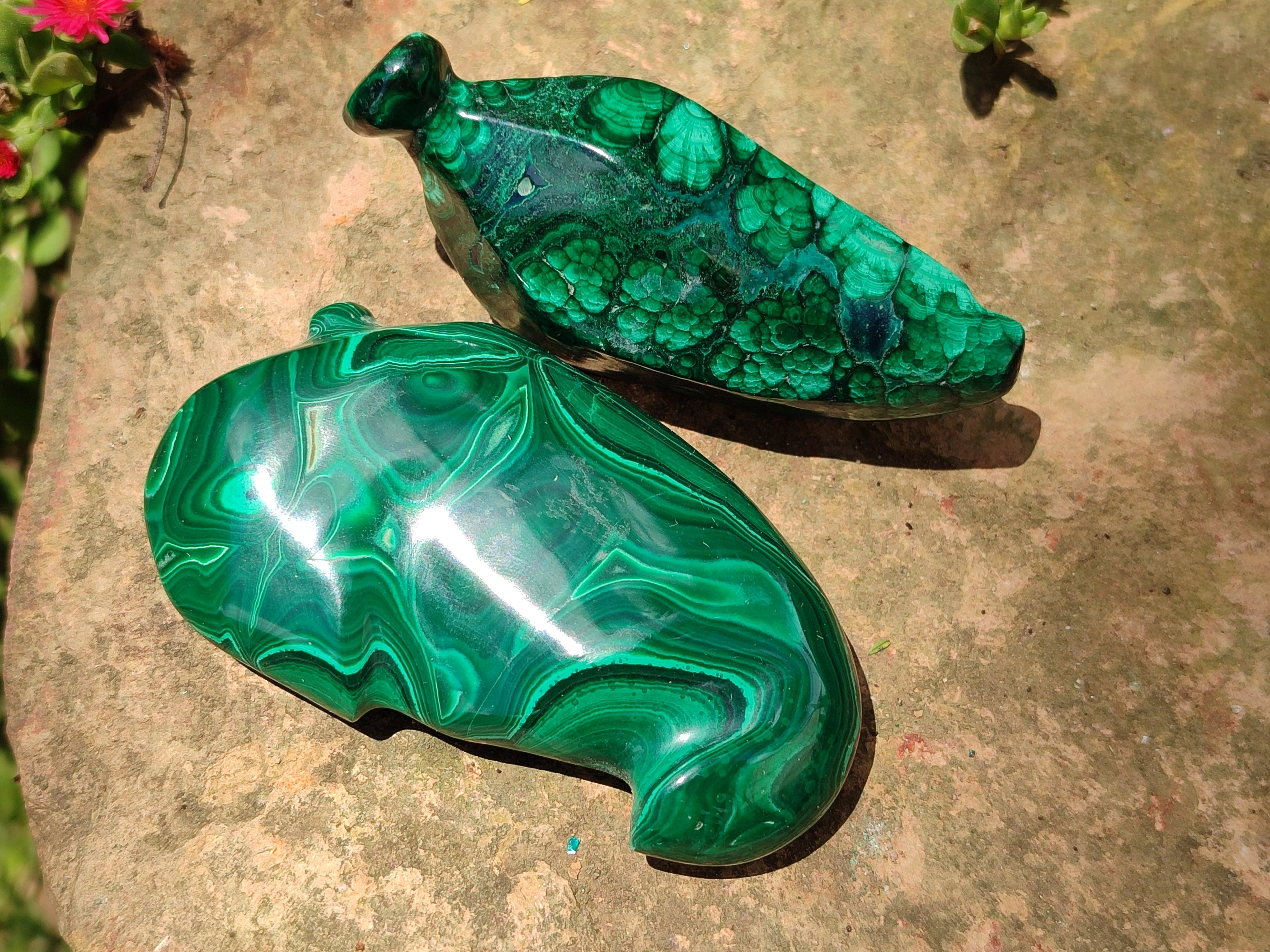 Polished Assorted Malachite Fruit Carvings x 12 From Congo - Toprock Gemstones and Minerals 