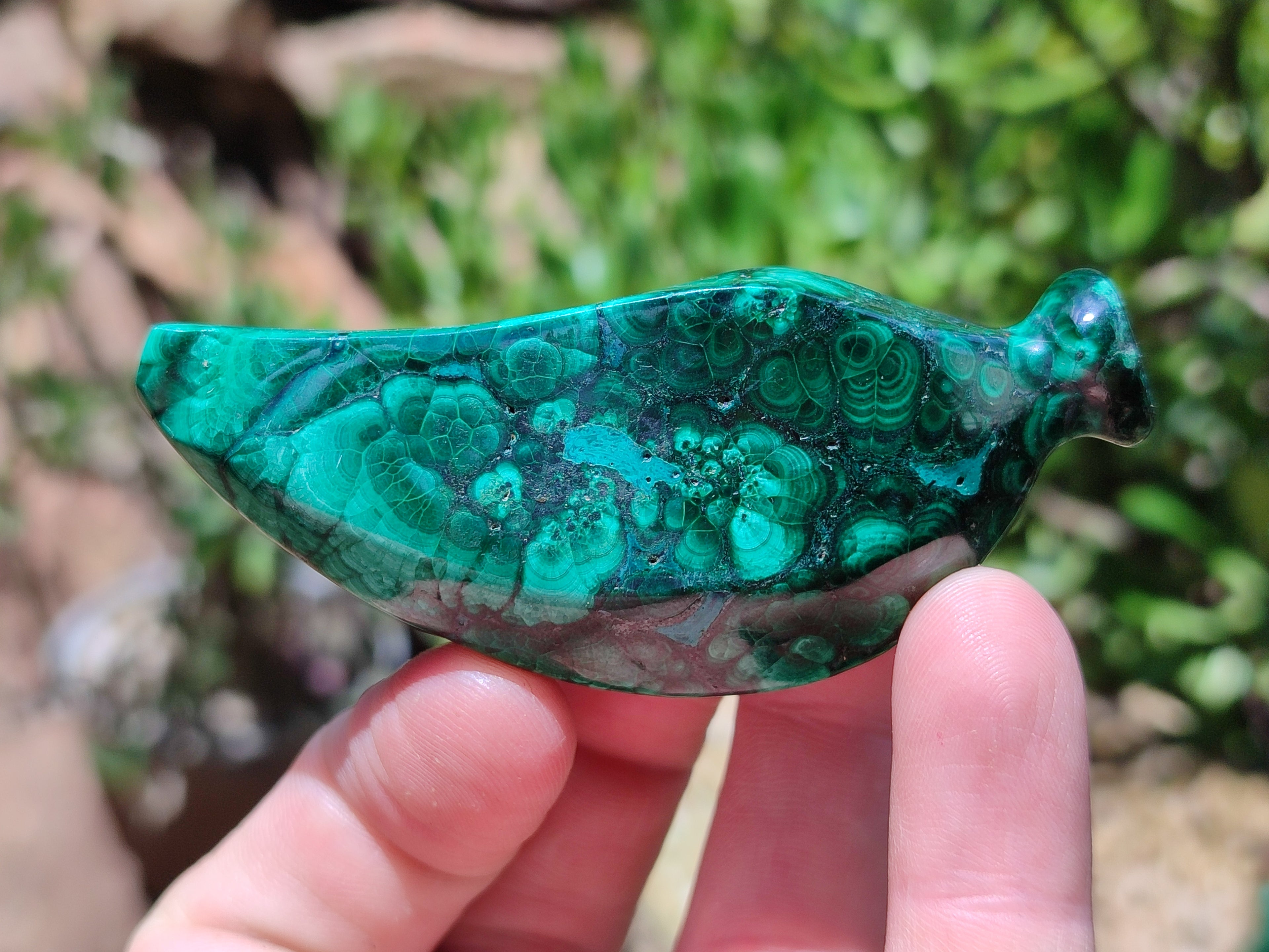 Polished Assorted Malachite Fruit Carvings x 12 From Congo - Toprock Gemstones and Minerals 