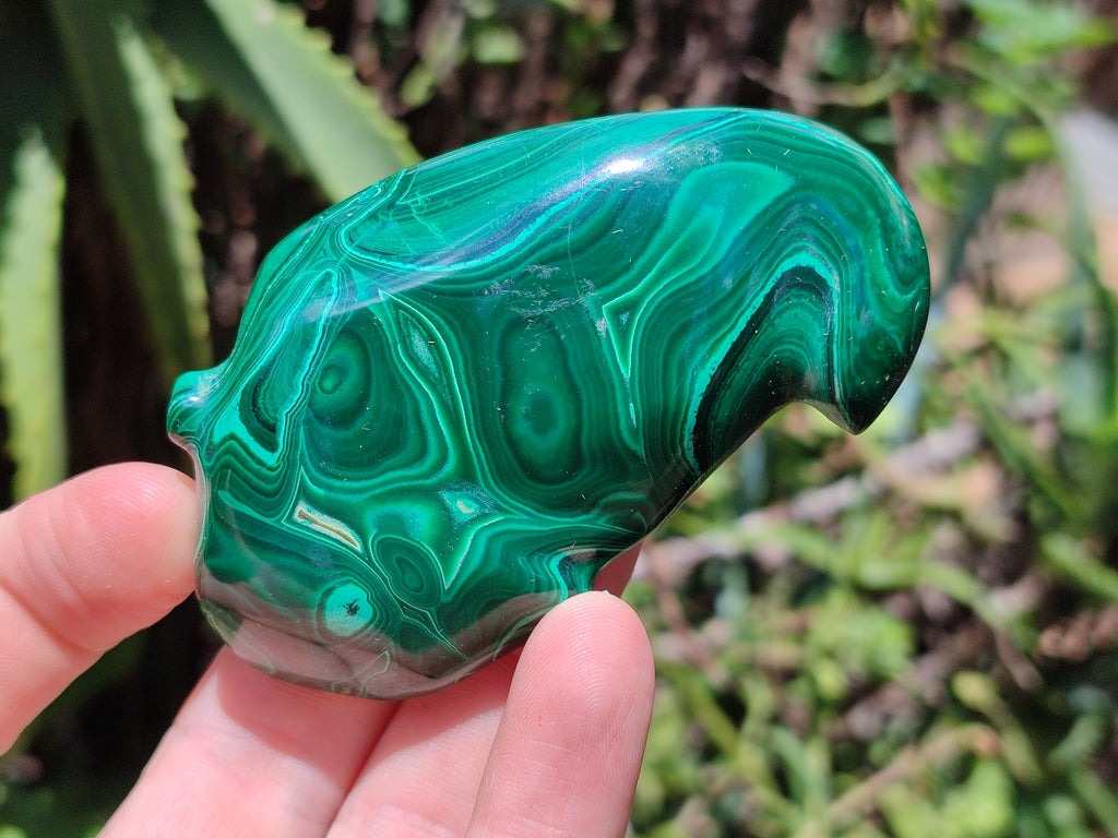 Polished Assorted Malachite Fruit Carvings x 12 From Congo - Toprock Gemstones and Minerals 