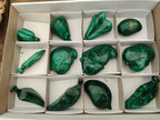 Polished Assorted Malachite Fruit Carvings x 12 From Congo - Toprock Gemstones and Minerals 