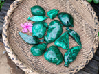Polished Assorted Malachite Fruit Carvings x 12 From Congo - Toprock Gemstones and Minerals 