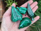 Polished Assorted Malachite Fruit Carvings x 12 From Congo - Toprock Gemstones and Minerals 