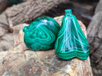 Polished Assorted Malachite Fruit Carvings x 12 From Congo - Toprock Gemstones and Minerals 