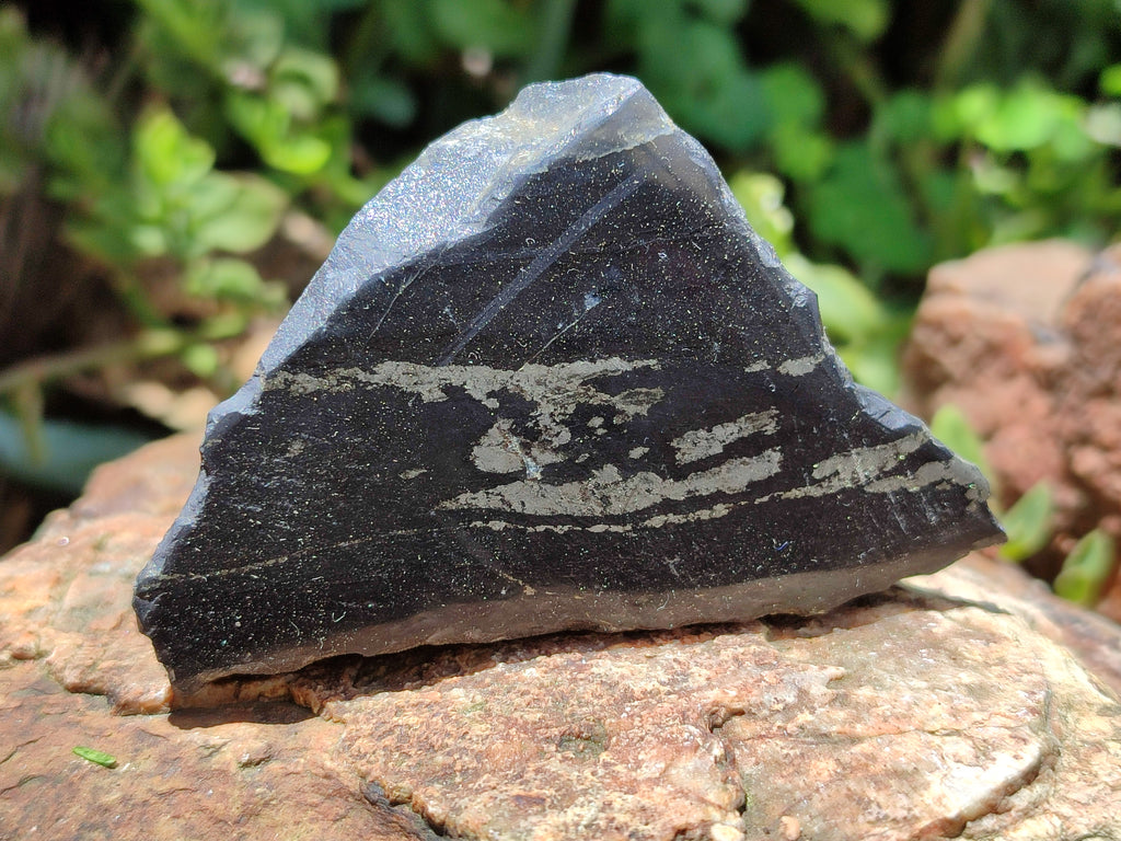 Polished On One Side Pharaoh Stone x 12 From Zimbabwe - Toprock Gemstones and Minerals 