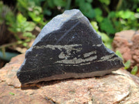 Polished On One Side Pharaoh Stone x 12 From Zimbabwe - Toprock Gemstones and Minerals 
