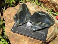 Polished On One Side Pharaoh Stone x 12 From Zimbabwe - Toprock Gemstones and Minerals 