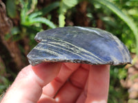 Polished On One Side Pharaoh Stone x 12 From Zimbabwe - Toprock Gemstones and Minerals 