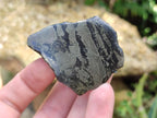 Polished On One Side Pharaoh Stone x 12 From Zimbabwe - Toprock Gemstones and Minerals 