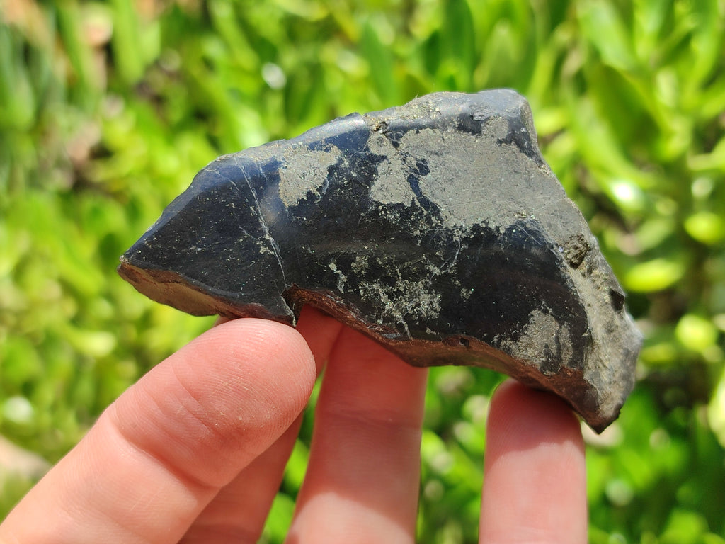 Polished On One Side Pharaoh Stone x 12 From Zimbabwe - Toprock Gemstones and Minerals 