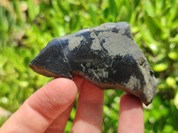 Polished On One Side Pharaoh Stone x 12 From Zimbabwe - Toprock Gemstones and Minerals 