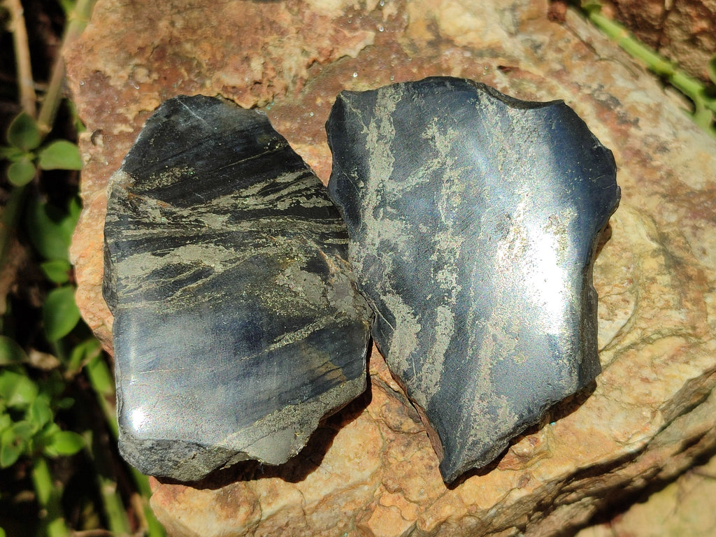 Polished On One Side Pharaoh Stone x 12 From Zimbabwe - Toprock Gemstones and Minerals 