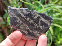 Polished On One Side Pharaoh Stone x 12 From Zimbabwe - Toprock Gemstones and Minerals 