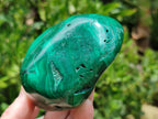 Polished Flower Banded Malachite Free Forms x 2 From Congo - Toprock Gemstones and Minerals 