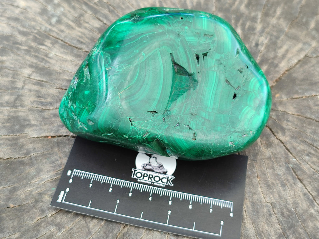 Polished Flower Banded Malachite Free Forms x 2 From Congo - Toprock Gemstones and Minerals 