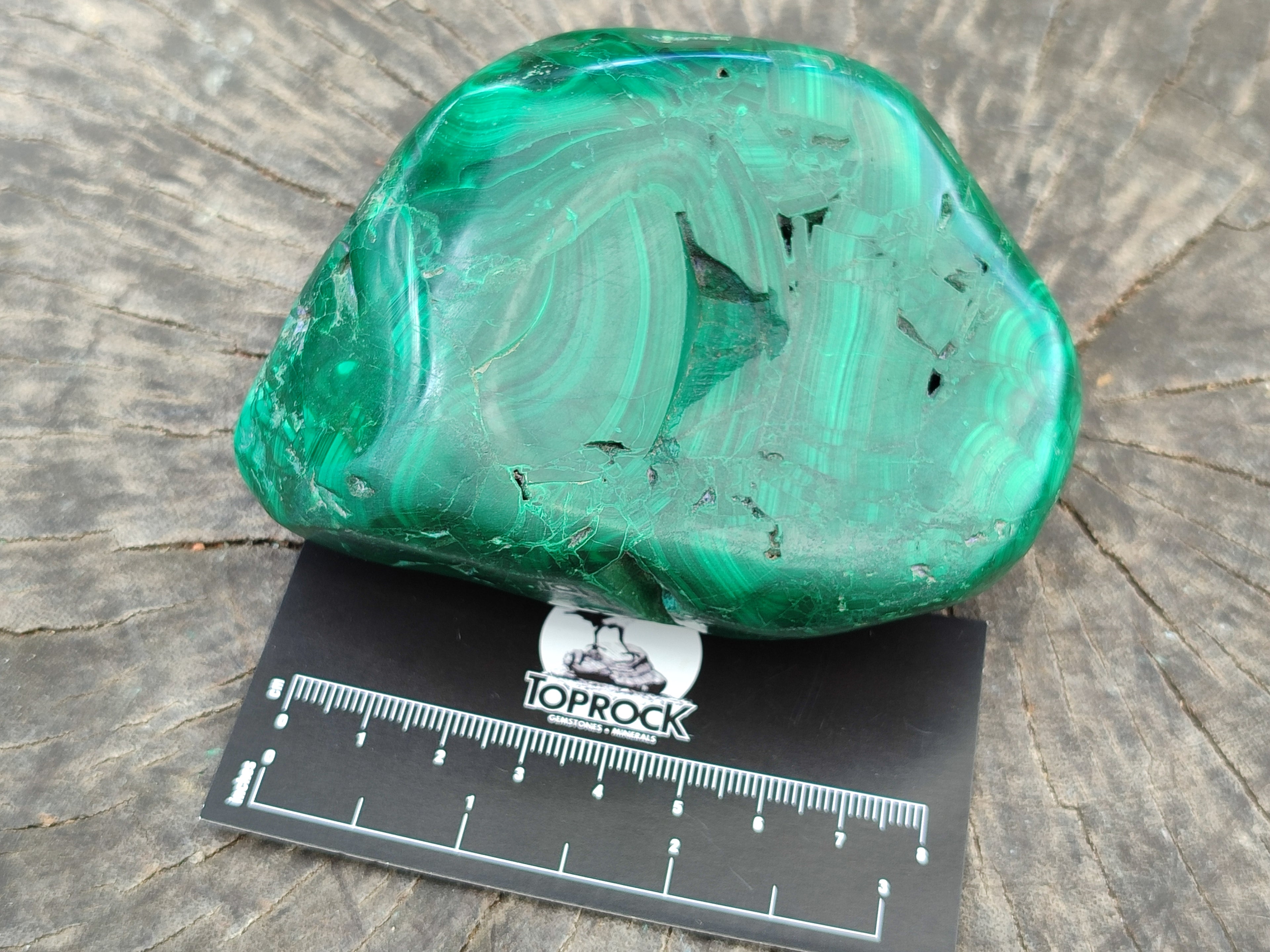 Polished Flower Banded Malachite Free Forms x 2 From Congo - Toprock Gemstones and Minerals 