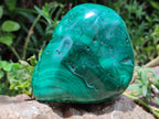 Polished Flower Banded Malachite Free Forms x 2 From Congo - Toprock Gemstones and Minerals 
